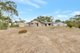 Photo - 443 Haddock Drive, O'Connell QLD 4680 - Image 19