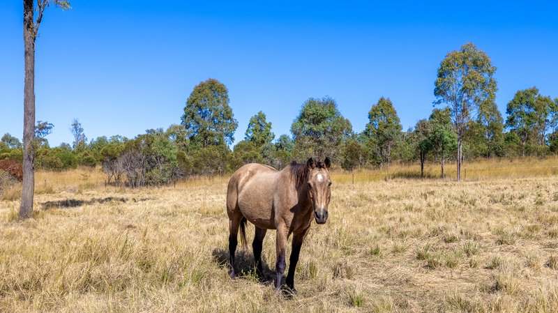 Photo - 443 Railway Road, Booyal QLD 4671 - Image 10