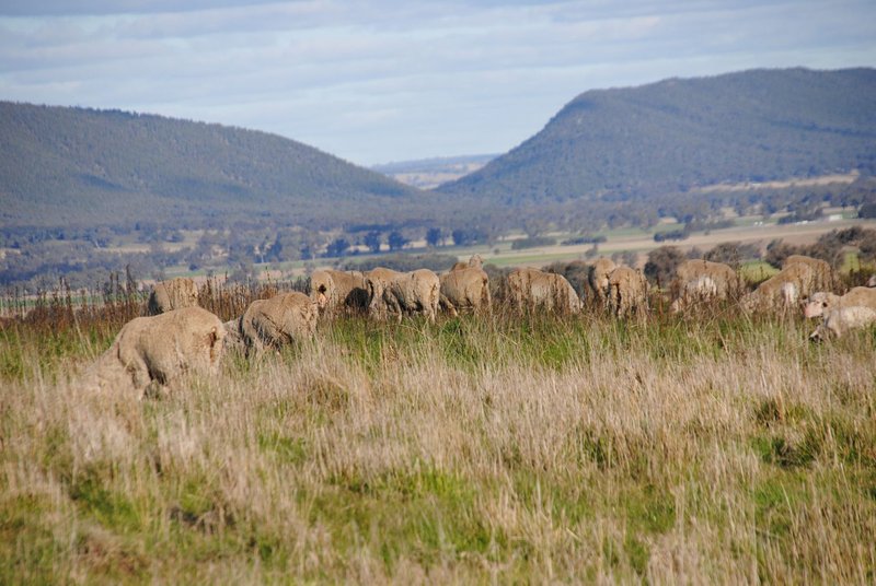 Photo - 443 Wirrimah Road,Bendick Murrell , Wirrimah NSW 2803 - Image 3