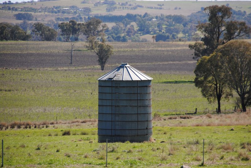 Photo - 443 Wirrimah Road,Bendick Murrell , Wirrimah NSW 2803 - Image 16