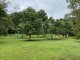 Photo - 4430 Mackay-Eungella Road, Pinnacle QLD 4741 - Image 24