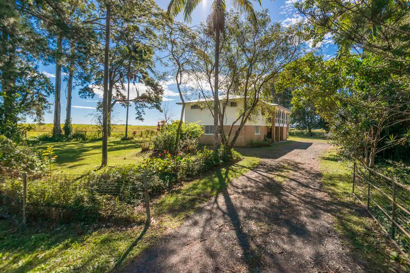 Photo - 444 Broadwater Road, Dungarubba NSW 2480 - Image 11