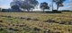 Photo - 444 Broadwater Road, Dungarubba NSW 2480 - Image 15