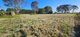 Photo - 444 Broadwater Road, Dungarubba NSW 2480 - Image 17