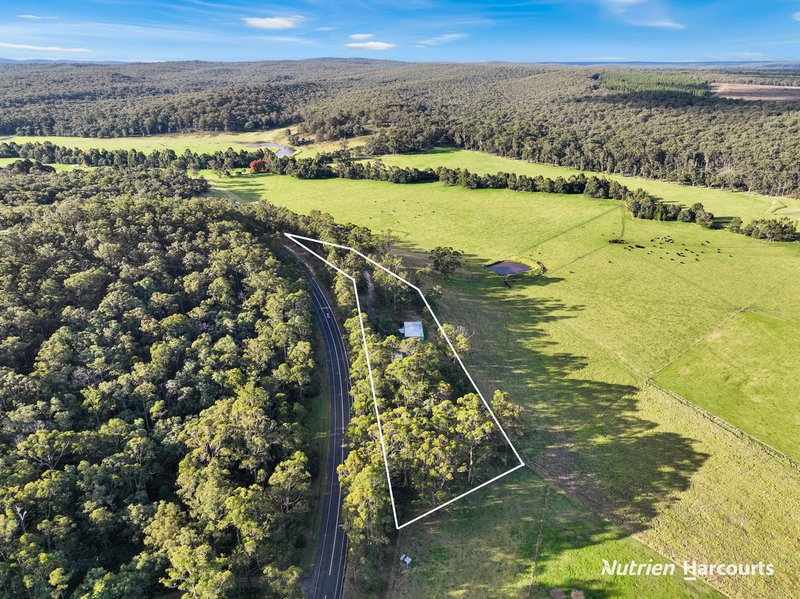 Photo - 4443 Hyland Highway, Won Wron VIC 3971 - Image 4