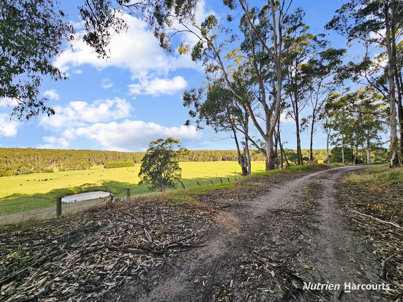 Photo - 4443 Hyland Highway, Won Wron VIC 3971 - Image 23