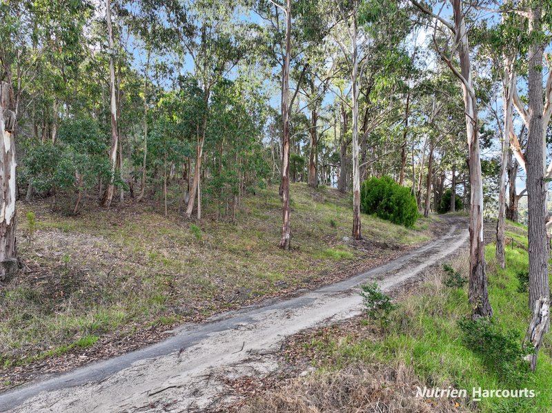 Photo - 4443 Hyland Highway, Won Wron VIC 3971 - Image 26