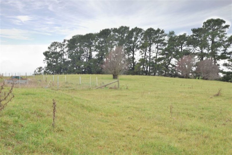 Photo - 445 Dunorlan Rd , Dunorlan TAS 7304 - Image 11