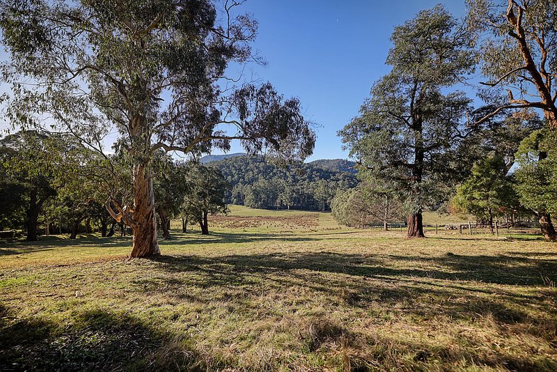 Photo - 445 Maroondah Highway, Healesville VIC 3777 - Image 2