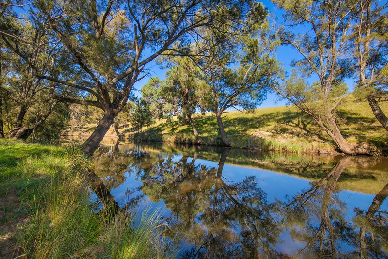 Photo - 4451 Boorolong Road, Armidale NSW 2350 - Image 3