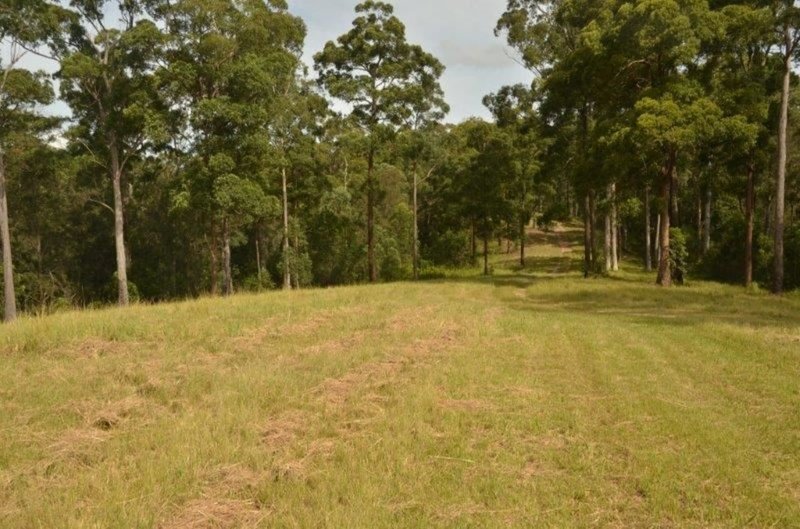 Photo - 446 Brookhouse Rd , Pembrooke NSW 2446 - Image 7