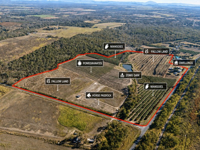Photo - 446 Chewko Road, Mareeba QLD 4880 - Image 8