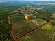 Photo - 446 Chewko Road, Mareeba QLD 4880 - Image 11