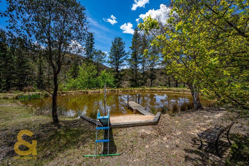 Photo - 446 Green Gully Road Green Gully , Mudgee NSW 2850 - Image 35