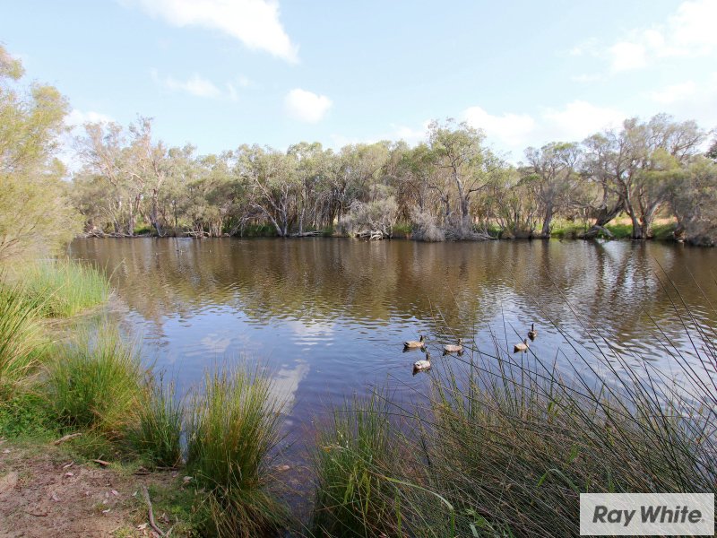 Photo - 4/46 Marriamup Street, Cannington WA 6107 - Image 32