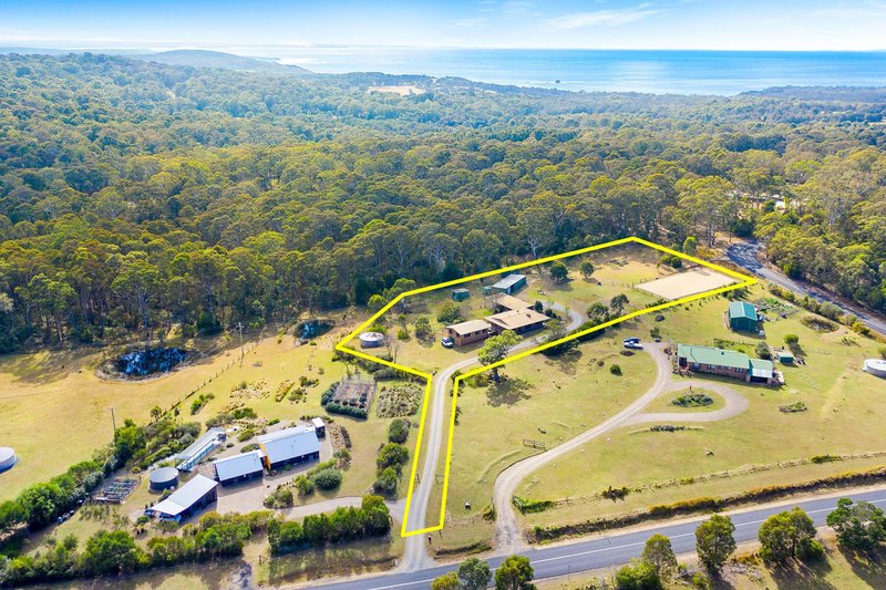 Photo - 447 Bingie Road, Bingie NSW 2537 - Image 3