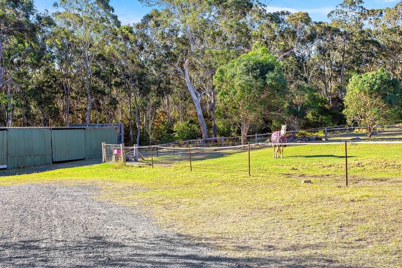 Photo - 447 Bingie Road, Bingie NSW 2537 - Image 16