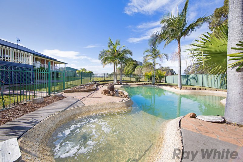 Photo - 447 Hue Hue Road, Jilliby NSW 2259 - Image 15