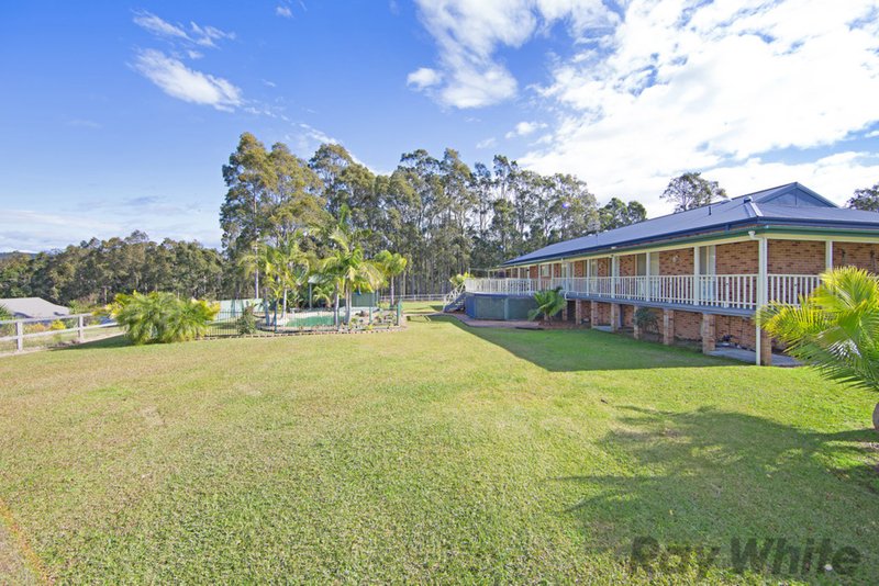 Photo - 447 Hue Hue Road, Jilliby NSW 2259 - Image 16