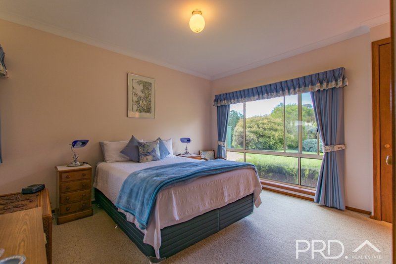 Photo - 447 Lacmalac Road, Tumut NSW 2720 - Image 11