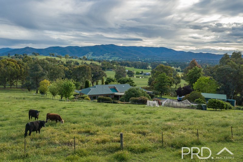 Photo - 447 Lacmalac Road, Tumut NSW 2720 - Image 23