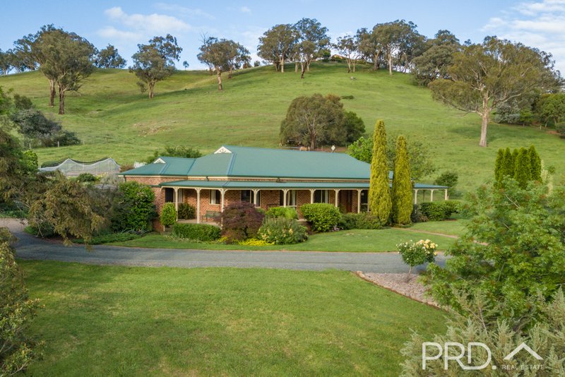 Photo - 447 Lacmalac Road, Tumut NSW 2720 - Image 24