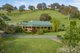 Photo - 447 Lacmalac Road, Tumut NSW 2720 - Image 24