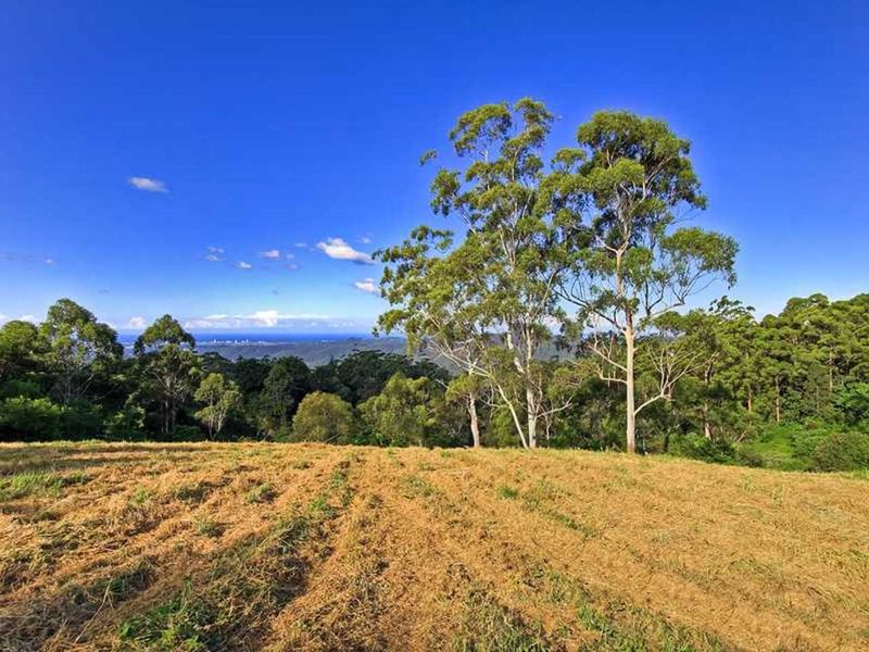 Photo - 447 Mt Nimmel Road, Mudgeeraba QLD 4213 - Image 8