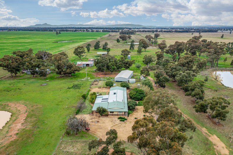 Photo - 447 Wetmores Lane, Milbrulong NSW 2656 - Image 2