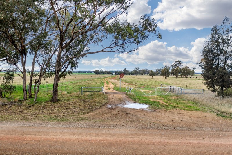 Photo - 447 Wetmores Lane, Milbrulong NSW 2656 - Image 5