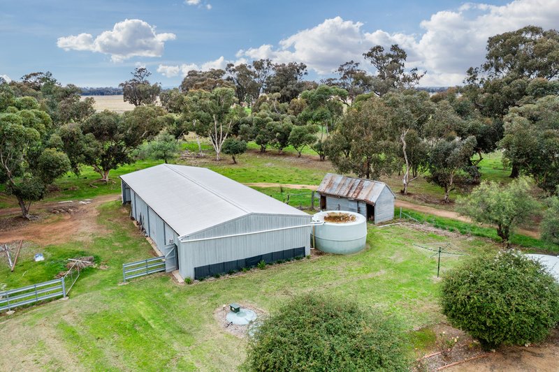 Photo - 447 Wetmores Lane, Milbrulong NSW 2656 - Image 7