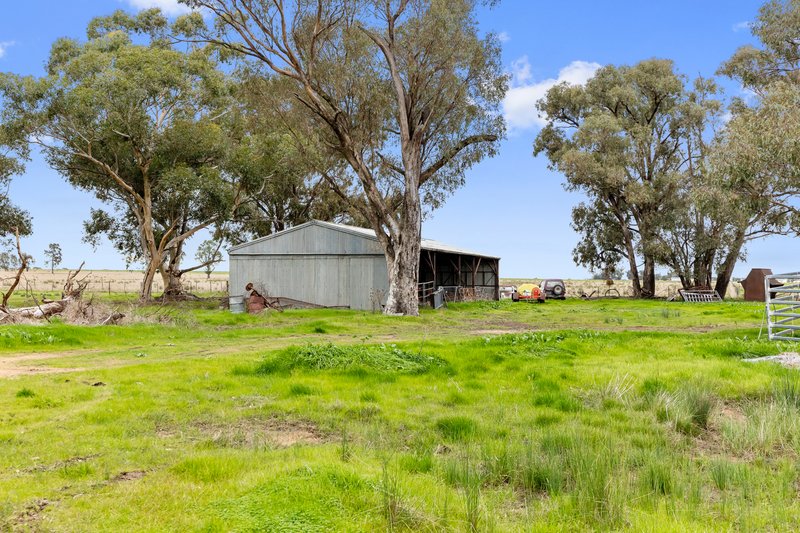 Photo - 447 Wetmores Lane, Milbrulong NSW 2656 - Image 27