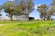 Photo - 447 Wetmores Lane, Milbrulong NSW 2656 - Image 27