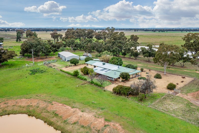 Photo - 447 Wetmores Lane, Milbrulong NSW 2656 - Image 30