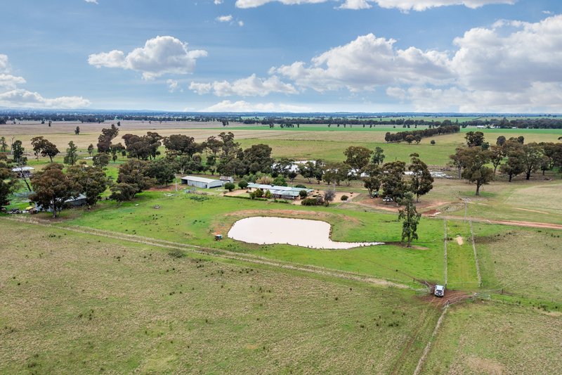 Photo - 447 Wetmores Lane, Milbrulong NSW 2656 - Image 31