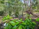 Photo - 448 Beckmanns Road, Glenwood QLD 4570 - Image 22