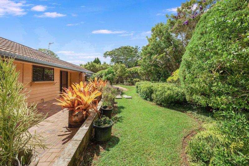 Photo - 44A Eckersley Avenue, Buderim QLD 4556 - Image 3