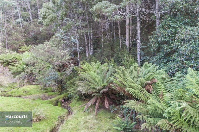 Photo - 45 Blue Hill Road, Crabtree TAS 7109 - Image 19