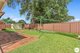 Photo - 45 Caledonia Crescent, Peakhurst NSW 2210 - Image 5