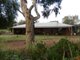 Photo - 45 Douglas Rd , Carbunup River WA 6280 - Image 2