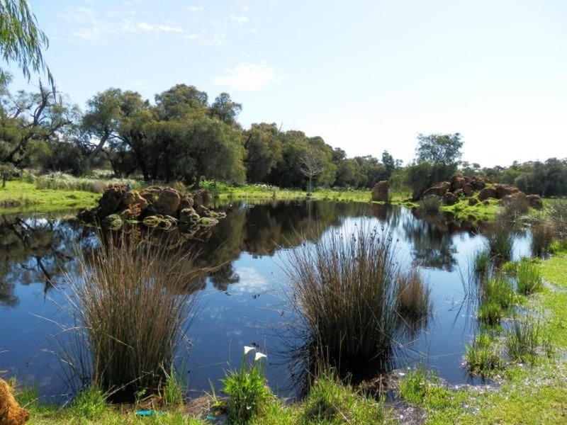 Photo - 45 Douglas Rd , Carbunup River WA 6280 - Image 8