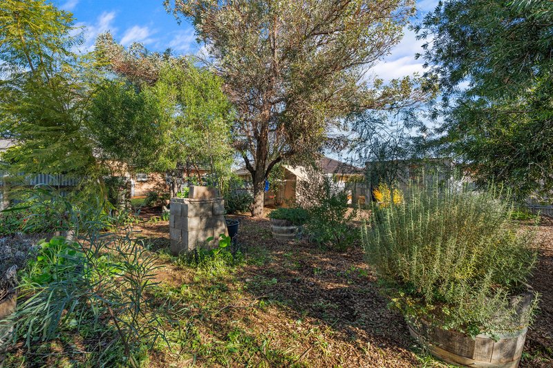 Photo - 45 Edith Terrace, Balaklava SA 5461 - Image 26