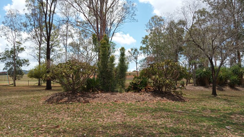 Photo - 45 Gentle Annie Road, Ambrose QLD 4695 - Image 19