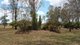 Photo - 45 Gentle Annie Road, Ambrose QLD 4695 - Image 19