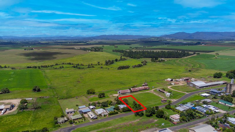 Photo - 45 Godfrey Road, Kairi QLD 4872 - Image 3