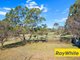 Photo - 45 Grassway Court, Chambers Flat QLD 4133 - Image 12