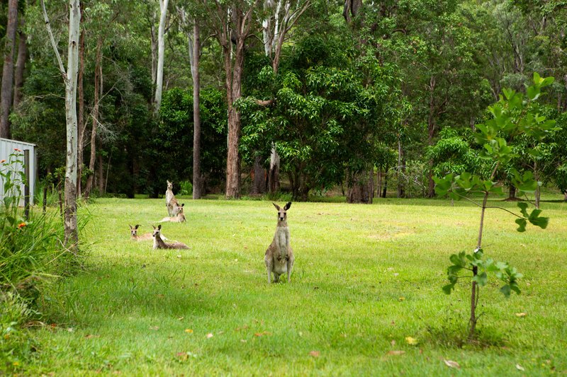 Photo - 45 Greys Lane, Ravenshoe QLD 4888 - Image 9