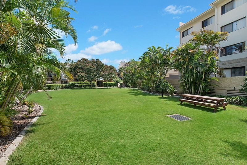 Photo - 45 Harries Road, Coorparoo QLD 4151 - Image 9