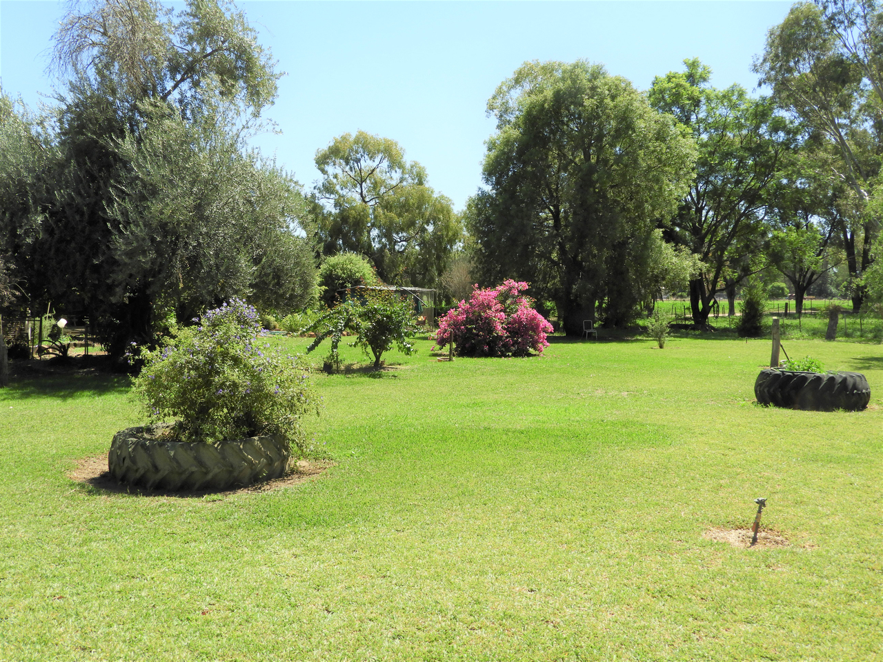 3-bedroom unit at 45 HILTON LANE, Warren NSW 2824, Warren, New South Wales