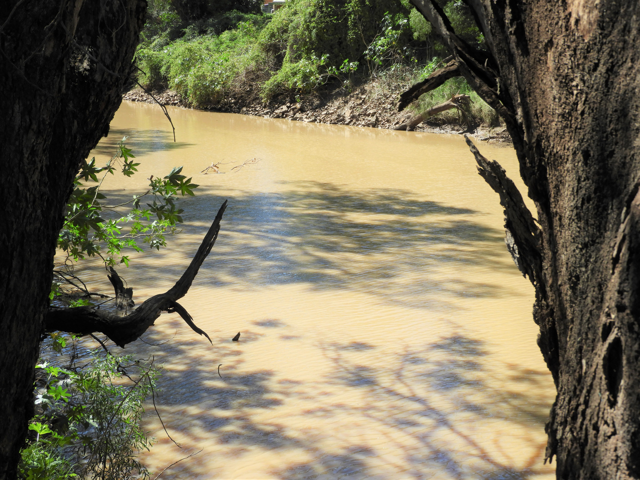 3-bedroom unit at 45 HILTON LANE, Warren NSW 2824, Warren, New South Wales